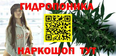 крисы Кимры