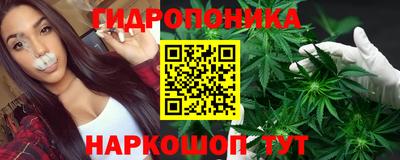 крисы Кимры