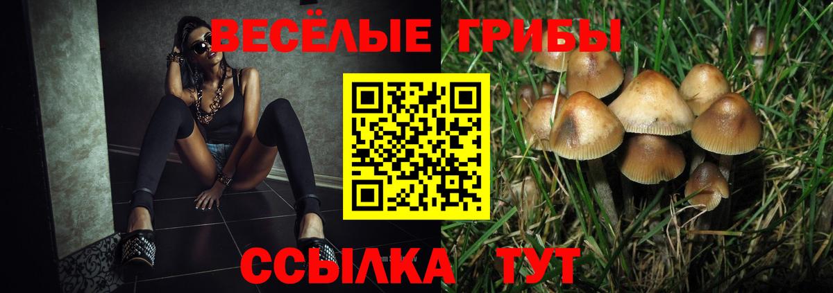 Псилоцибиновые грибы Psilocybine cubensis Зерноград